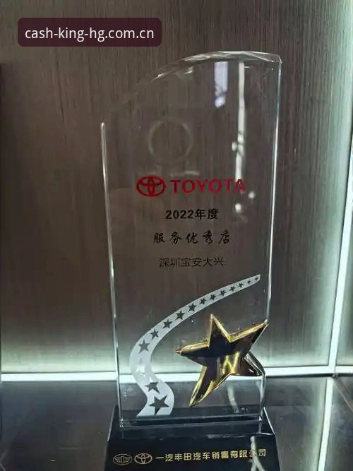 皇冠现金网好用吗 皇冠现金网好用吗?深入剖析其功能、体验与风险